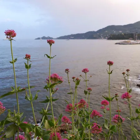 Giramondo ゲストハウス 3*